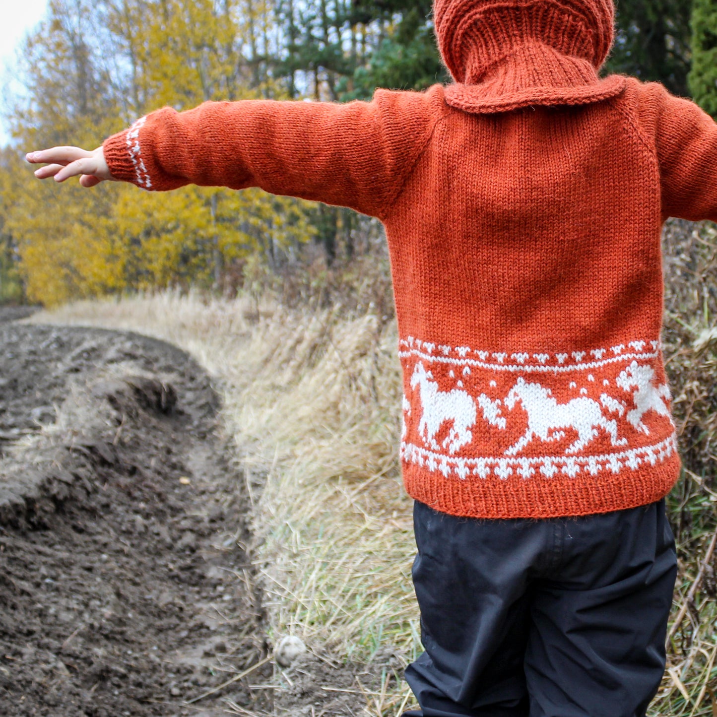 Wild horses’ sweater