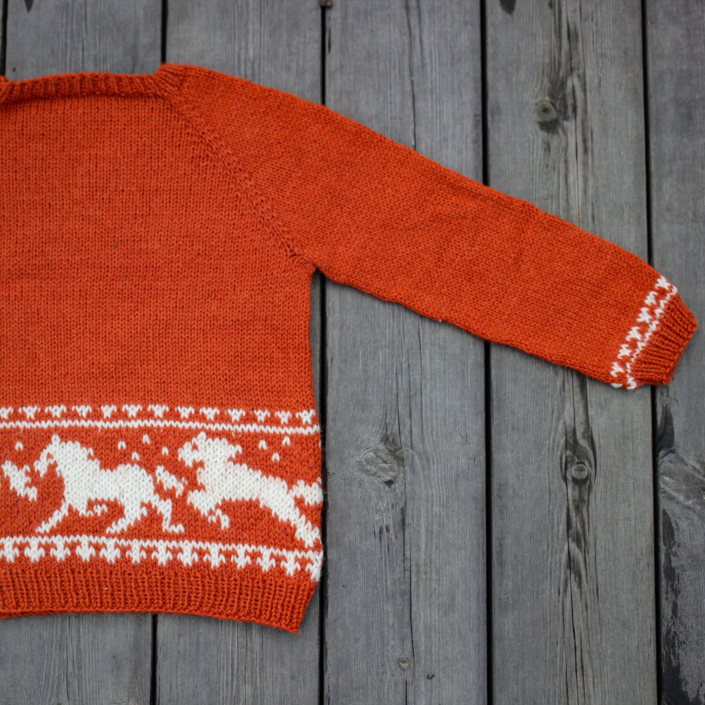 Wild horses’ sweater