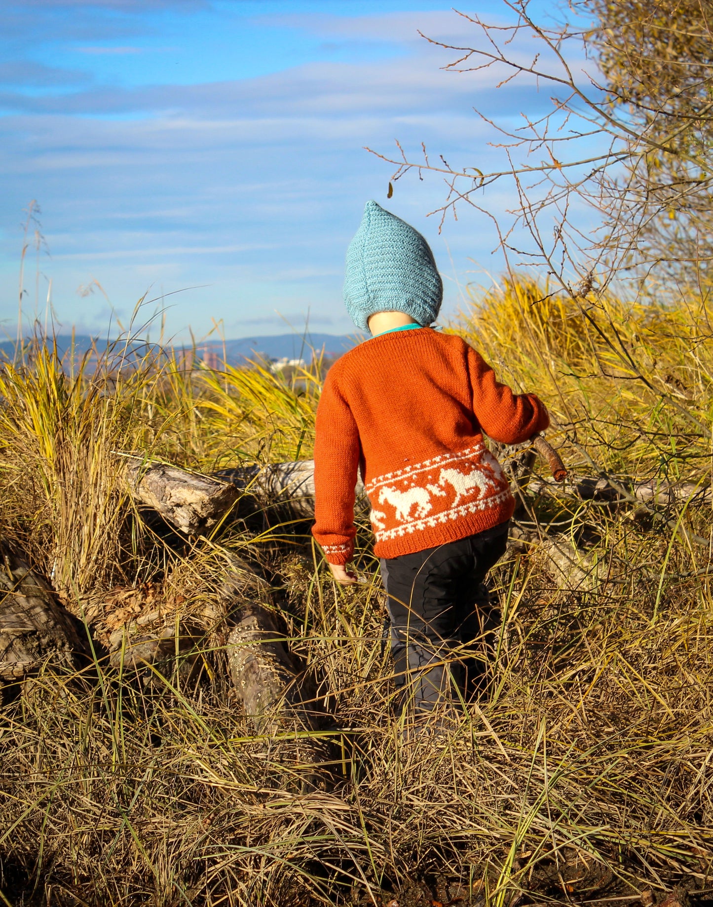 Wild horses’ sweater